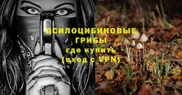 шишки Алексеевка