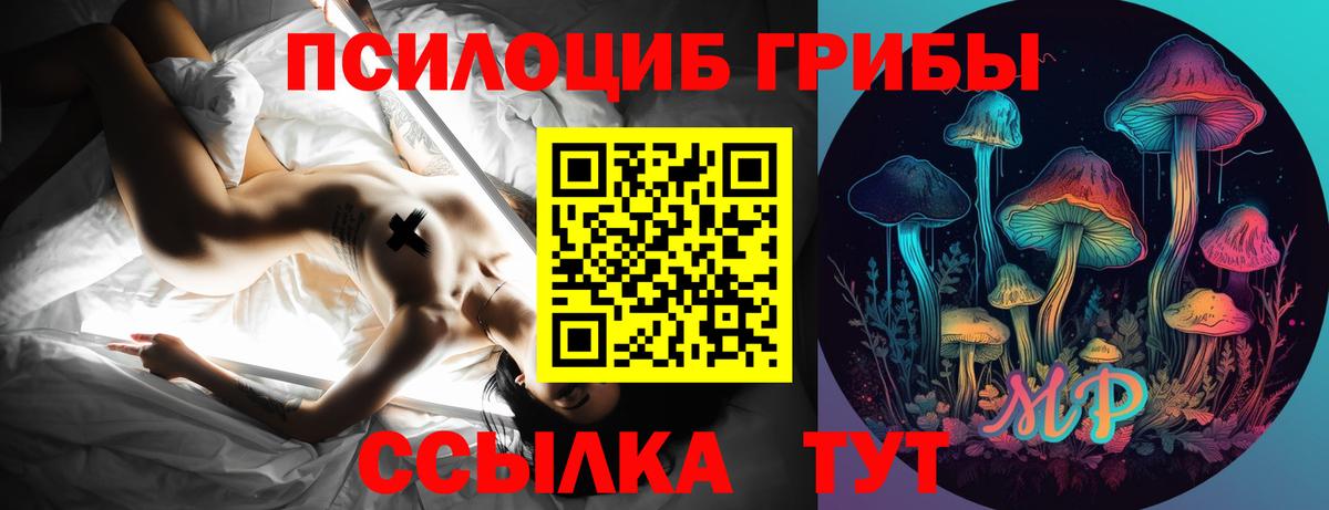 Галлюциногенные грибы MAGIC MUSHROOMS Калач-на-Дону